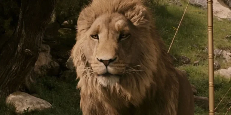 Meryl Streep devrait rejoindre le film « Narnia » de Greta Gerwig dans un rôle emblématique