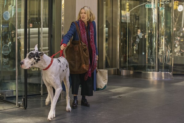 Critique de ‘The Friend’ : Perdre et gagner de la compagnie