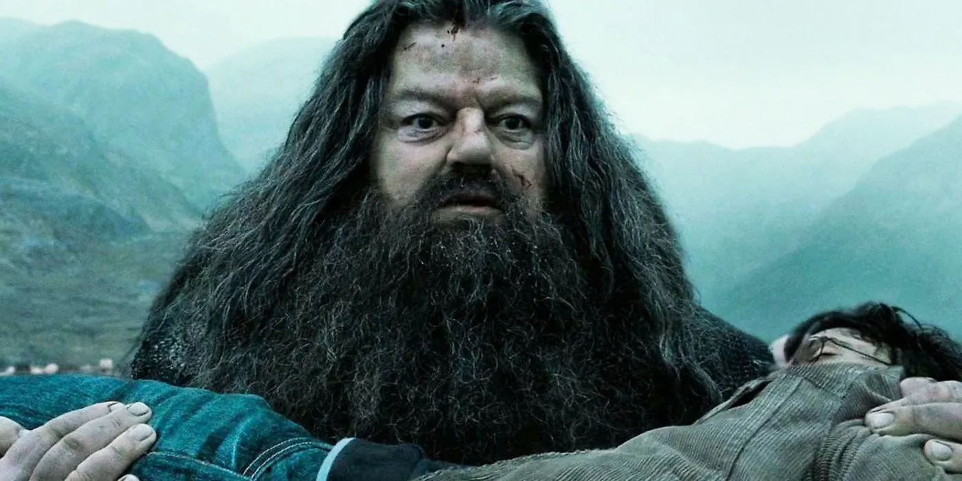 Nick Frost démystifie le casting de Hagrid dans « Harry Potter »