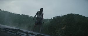 Critique de 'Evil Dead Burn' : une affaire de famille sanglante