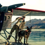 Critique de « The Heart of the Beast » : Brad Pitt et un chien abordent la nature sauvage de l’Alaska