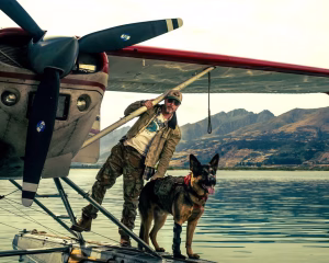 Critique de « The Heart of the Beast » : Brad Pitt et un chien abordent la nature sauvage de l’Alaska