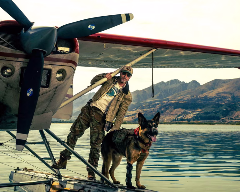 Critique de « The Heart of the Beast » : Brad Pitt et un chien abordent la nature sauvage de l’Alaska